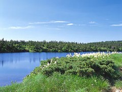 八幡平に遊ぶ！！