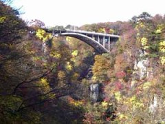 圧巻鳴子狭！！