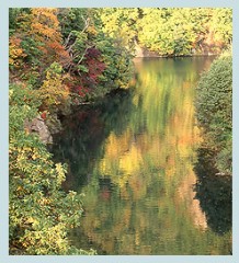 定山渓で森林浴を！！