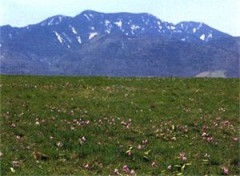 日光・霧降高原散策！！