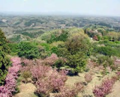 常陸大宮市三王山公園散策！！
