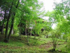 御前山村青少年旅行村を歩く！！