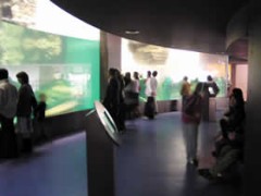 アクアワールド大洗に感動！！