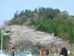 愛宕山散策！！