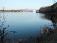 岩瀨・上野沼探索！！