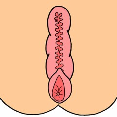 ミミズ千匹のお話!!