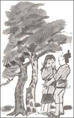逆さ杉