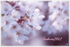 【お題日記】今日はカメラの日！自慢の写真をUPして♪