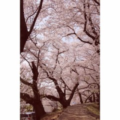 【お題日記】春のおたのしみ