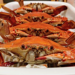 そんなに見つめないで