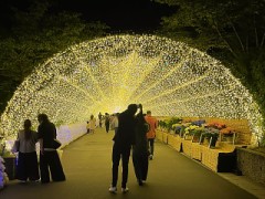 若いっていいねぇ…