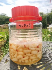 出てきましたね