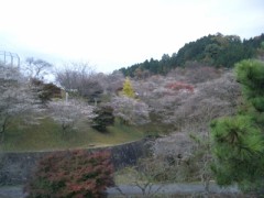 【お題日記】この秋、旅行に行きますか？