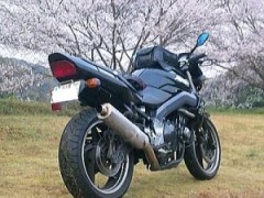 【お題日記】おすすめの紅葉スポットを教えて！