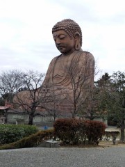 【お題日記】桜が開花！お花見には行きますか？