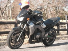 やっとストレス発散が出来る！