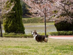 【お題日記】突然長期休暇が取れたらどうする？