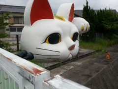 梅雨の合間のくもりだったので・・・