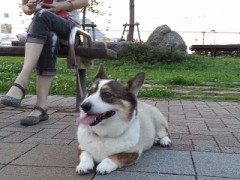 【お題日記】あなたの住んでいる都道府県の魅力は？