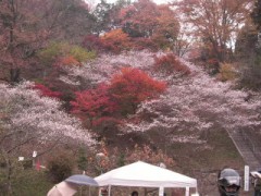 明日はバイクで・・・