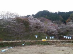 お山の気温は1℃