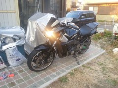 結局、寝正月でした。