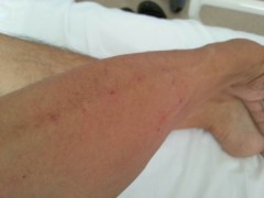 木曜日から今日まで