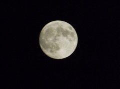 【お題日記】運動しようと思い立つのはどんな時?と中秋の名月