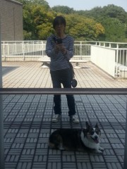 大きなガラスに映った・・・