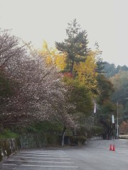 本日、スタッドレスタイヤに交換