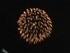 相変わらず　ピンボケ