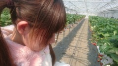 すとろべりぃ。