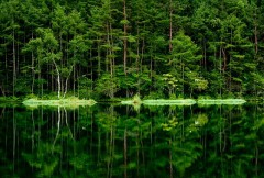 【お題日記】最後に買ったCDは誰の何？