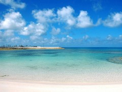 【お題日記】新たな中華まんを作るならどんな物？