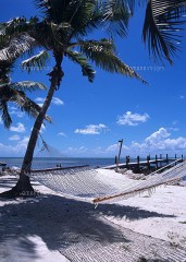 【お題日記】一度は行ってみたい世界遺産