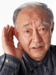 【お題日記】あなたの好きな駅弁は？