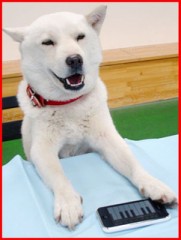 【お題日記】最近自然に触れましたか？