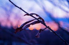 最高気温3℃っていうんだけど、そろそろヒートテックを着ようか迷い今日も着てない