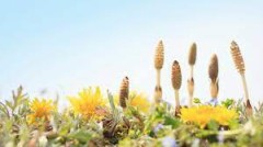 なんとなく、春