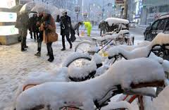 雪の大盛りです