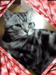 やっぱ　たま　でしょ・・・