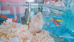 癒されるー(*´ω｀*)