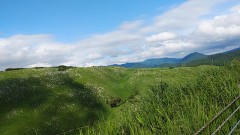 お気に入りの写真見せて(^^)