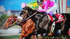 お気に入りの写真(^^)