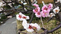 ちょっと気になって…(・∀・)