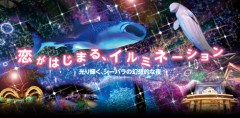 イルミネーション