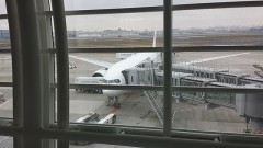 【お題日記】旅行はひとり？それとも誰かと行く？