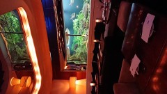 【お題日記】GWの予定は決まった？