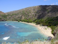 誰か助けて！！使い方わかんない(>_<)