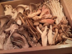 食欲の秋★